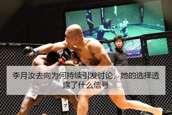 李月汝去向为何持续引发讨论，她的选择透露了什么信号